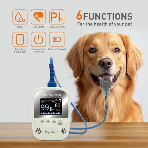 Vista 2 de Almacenamiento de datos de la aplicación gratuita Veterinaria portátil AM1000A-Vet, medidor de saturación de oxígeno en sangre y frecuencia cardíaca