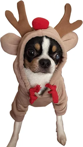 Vista 7 de Ropa cálida de invierno para perros, con forma de rana, color verde Verde (Green Frog)