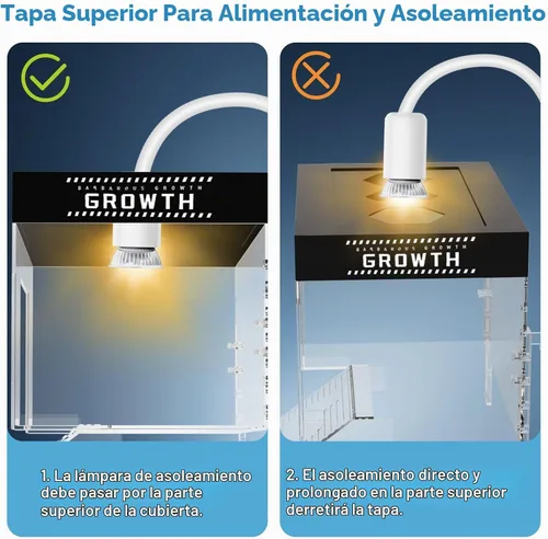 Vista 7 de GOZILLA Plataforma ajustable para tomar tortugas, 9.8 x 6.3 x 6.3 pulgadas, cubierta de tortuga acrílica y muelle, plataforma colgante