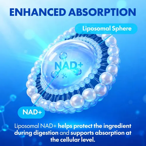 Vista 3 de Suplemento NAD+ - Alternativa NMN con NAD liposomal, resveratrol trans, manganeso, apigenina más pterostilbeno para mujeres y hombres, apoyo