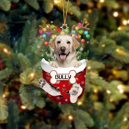 Vista 128 de IZI POD Affenpinscher Adorno de Navidad personalizado para perro, adorno de bolsillo de nieve para perro para árbol de Navidad, adorno acrílico