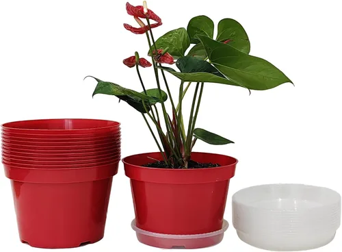Vista 11 de Macetas de plástico negro RooTrimmer de 4/6/8 pulgadas, paquete de 15, plástico engrosado con agujeros de drenaje, para interior/exterior