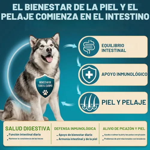 Vista 3 de Probióticos para perros, 200 probióticos suaves masticables para perros, salud digestiva, salud intestinal y sistema inmunológico, con 6 probióticos
