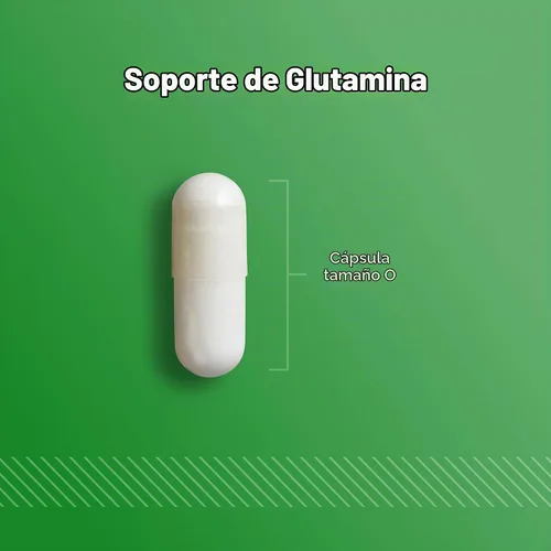 Vista 5 de Optimum Nutrition Cápsulas de recuperación muscular de L-glutamina, 240 Ct
