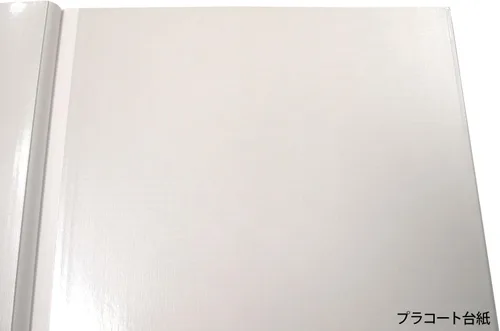 Vista 4 de Nakabayashi Fueruarubamu L talla sum A-LW-304-2 (importación de Japón)