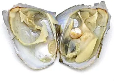 Vista 7 de Collar de perlas del zodiaco Aries con perlas auténticas