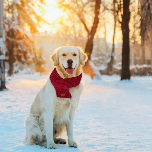 Vista 6 de SlowTon Bufanda de punto para perro, paquete de 2 pañuelos cálidos para perros, bufanda de decoración de Navidad de invierno para perros pequeños