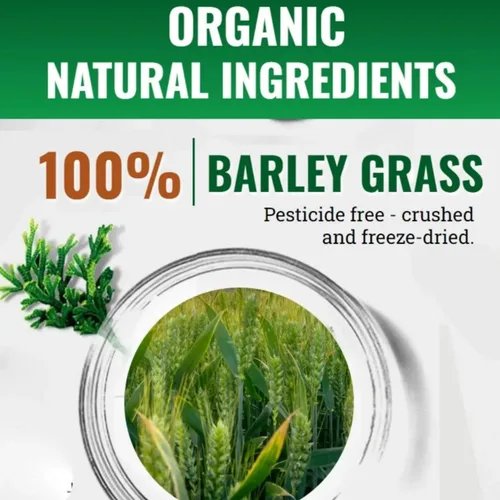Vista 4 de linnavarv Naveta - Polvo de hierba de cebada 100% puro y orgánico, Naveta Pure Organic Barley Grass Juice Powder Japan, 20 paquetes/caja