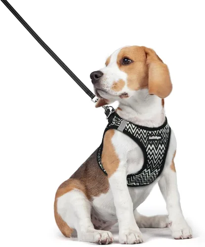 Vista 119 de rabbitgoo Arnés para perro de tamaño pequeño y juego de correa, chaleco Cachorros de manzana