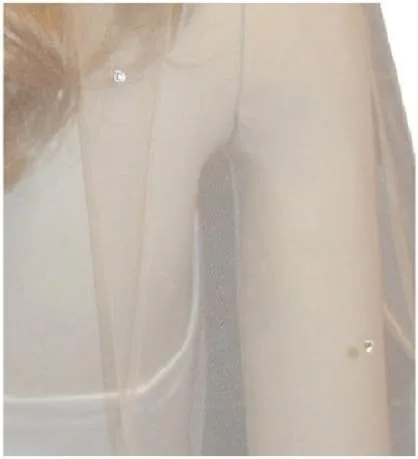 Vista 3 de Tienda de jengibre boda 1Tier Catedral Swarovski Crystal Rhinestones Bridal Veil