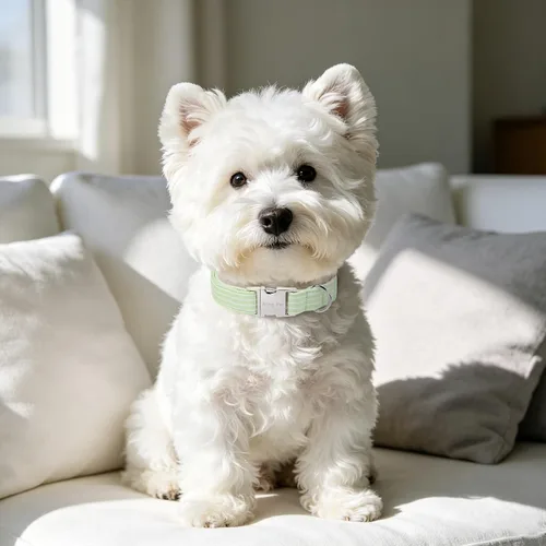 Vista 23 de Aring Pet Collar de algodón, ligero y ajustable, con hebilla de liberación rápida, para perros pequeños, medianos y grandes, para cachorros, S, Hoja