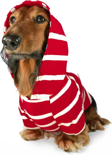Vista 13 de DJANGO Sudadera con capucha para perro, cálido, ligero, suave y elástico para perro, con capucha, orificio para arnés y cintura elástica, sudadera