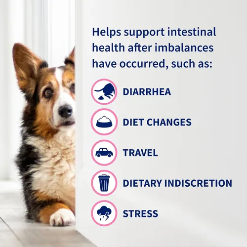 Vista 5 de Nutramax Probióticos proviables para perros y gatos pequeños, kit de apoyo para la diarrea, suplemento de salud digestiva con múltiples cepas