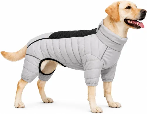 Vista 65 de Suéter para Perro ArmyGreen, Resistente al Viento, Reflectante - Chaqueta de Invierno Dirigible para S, M, L - Cremallera, Tallas Ajustables Verde