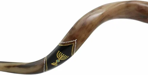 Vista 2 de Kudu Kosher Shofar artístico yemenita 42"-45" León de Judá con Menorá Brown Israel Edición Limitada