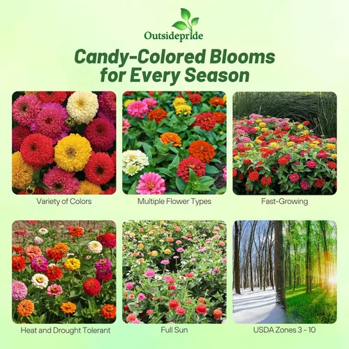 Vista 2 de Outsidepride - Zinnia Elegans, 200 semillas anuales, Candy Flower Seed Mix, mezcla de semillas de flores para plantar