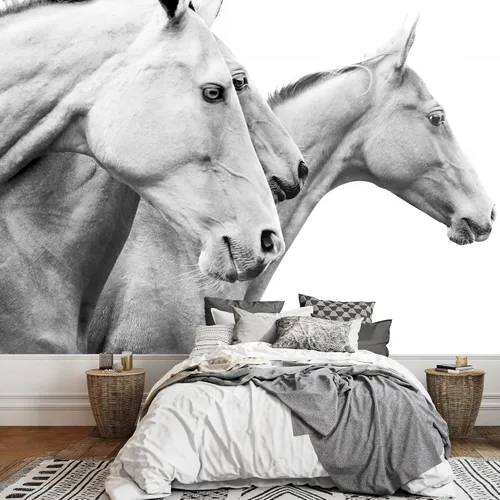Vista 44 de wall26 - Caballos en el campo - Mural de pared extraíble Papel pintado autoadhesivo grande - 66x96 pulgadas