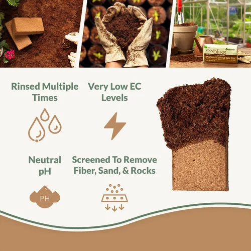 Vista 2 de Ladrillo de coco (650 gm) + polvo Myco Bliss (7.05 oz) – Fibra de coco orgánica para plantas y micorrizas para plantas – Inoculante de hongos