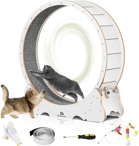 Vista 10 de Rueda de ejercicios para gatos, de 48 pulgadas XL para gatos grandes, rueda de gato para gatos