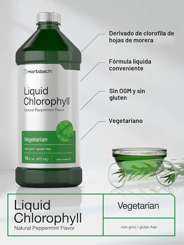 Vista 4 de Horbäach Gotas líquidas de clorofila 100 mg 32 oz (2 botellas de 16 onzas) Gotas naturales con sabor a menta Suplemento vegetariano, sin OMG