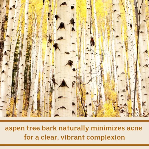Vista 7 de Solluna by Kimberly Snyder Limpiador facial hidratante antienvejecimiento, lavado facial suave con pH equilibrado, aceites naturales hidratantes