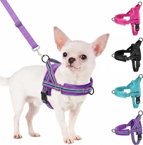Vista 14 de SlowTon - Juego de arnés y correa para perros pequeños sin tirones, chaleco suave ajustable para cachorros para el cuello y el pecho, arnés