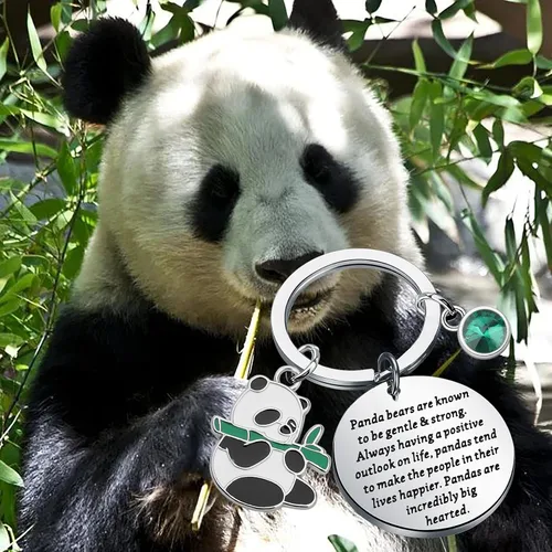 Vista 5 de Lindo llavero de panda animal oso panda amante joyería regalo oso panda oso oso panda son conocidos por ser suaves y fuertes