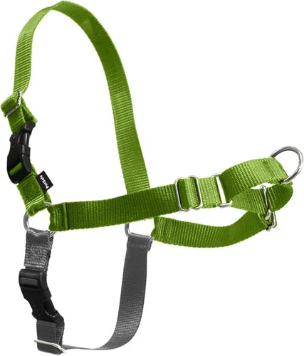 Vista 13 de Arnés de paseo fácil de PetSafe, Negro/Plateado