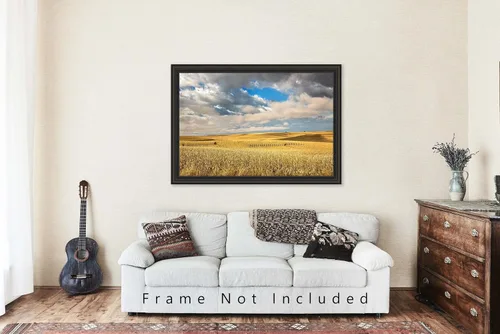 Vista 5 de Impresión de fotografía campestre (no enmarcada) Imagen de campos de maíz en terrazas doradas bajo el cielo de ensueño en el día de otoño en Iowa