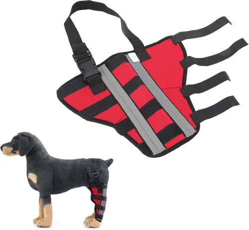 Vista 2 de FILFEEL Comfortable Dog Hind Leg Brace with Reflective Strip for Joint Support and Healing PostSurgery Recovery (M)
