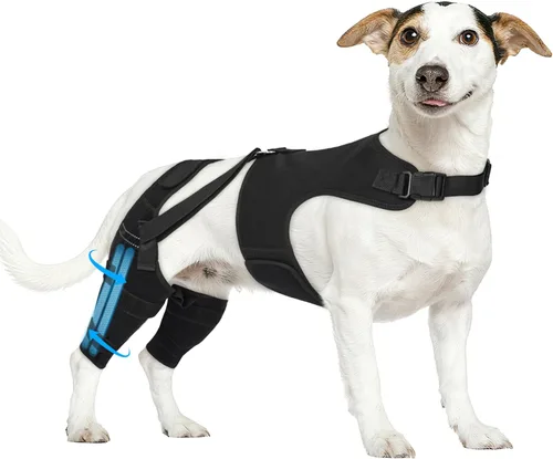 Vista 11 de Rodillera de perro para pierna trasera, soporte ajustable para piernas de perro con 4 estabilizadores, soporte de cadera para reducir el dolor