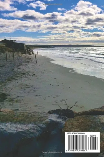 Vista 2 de Look At What The Tide Pulled Out