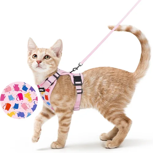 Vista 24 de rabbitgoo Cat Harness and Leash Set, Escape Proof Vest, XXS, Berry Pounce Soft Breathable Mesh, No-choke Adjustable Fit, Snap Buckles, Sturdy