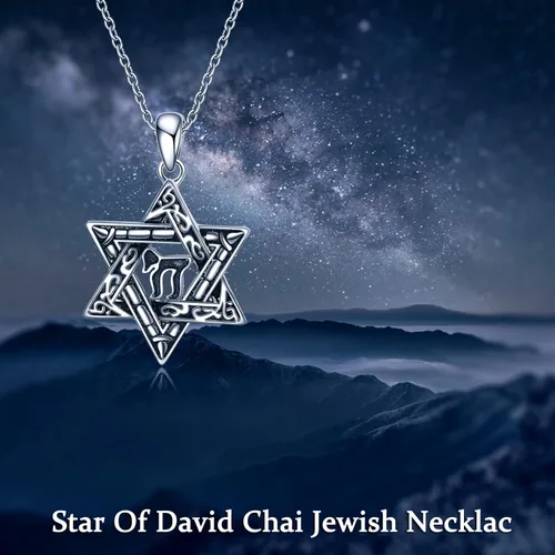 Vista 73 de YFN Collar de estrella de David de plata de ley, concha de abulón, árbol de la vida, joyería judía, regalos para mujeres y hombres