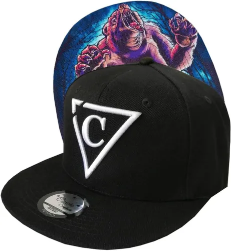 Vista 320 de Capiche - Gorra de visera plana de serie especial, talla única, unisex, hombre, más de 99 diseños