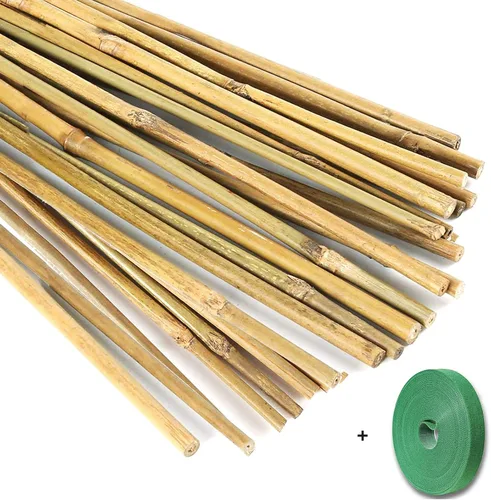 Vista 8 de 20 estacas de bambú natural de 18 pulgadas para plantas de interior, palos de bambú, estacas de bambú de jardín para plantas en maceta, tomate