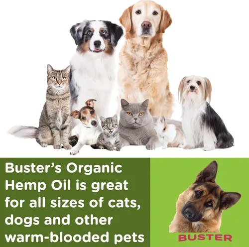Vista 3 de Aceite de cáñamo orgánico Busters para perros y gatos, ultra puro, fabricado en Estados Unidos, rico en Omega 3, 6 y 9, salud de cadera