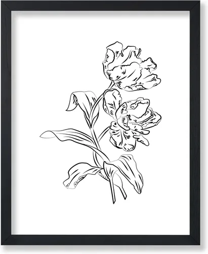 Vista 84 de Poster Master Póster Plumeria - Impresión de flores retro, arte floral, arte de flores tropicales, arte de línea - Arte de boceto - Arte abstracto