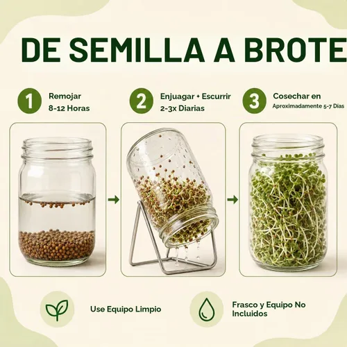 Vista 4 de Gardeners Basics Semillas de brócoli para germinar, semillas microverdes a