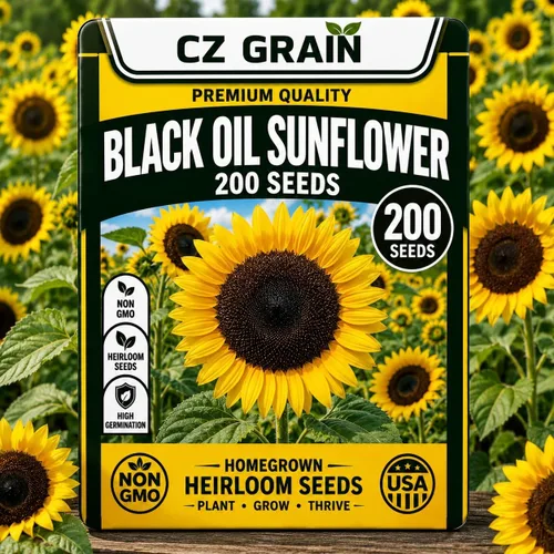 Vista 41 de CZ Grain Semillas para plantar, 40 pequeñas mezclas de calabaza