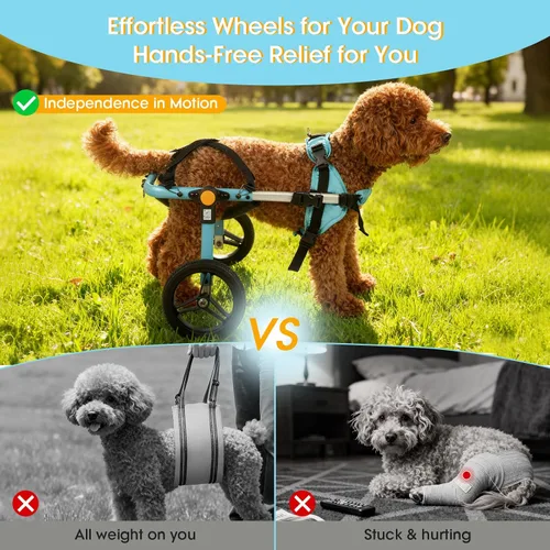 Vista 2 de TailWaggers Silla de ruedas para perros para patas traseras Ayuda de movilidad ajustable Ruedas todo terreno
