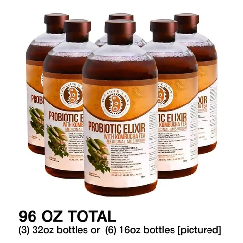 Vista 2 de This Chick is Raw - Elixir de hongos probióticos – Té de kombucha con Reishi, Chaga, melena de león y Cordyceps Salud intestinal, apoyo