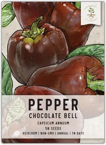 Vista 113 de Seed Needs - Semillas de pimiento arcoíris para plantar verduras, 1 paquete