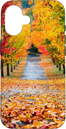 Vista 31 de iPhone 11 Otoño Hojas - Hermoso estuche de arboles