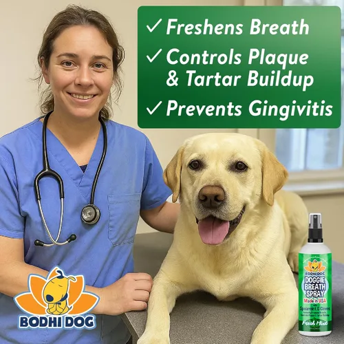 Vista 3 de Bodhi Dog Ambientador natural para perros Aliento fresco para perros, sarro y removedor de placa Apoya la salud de los dientes y las encías