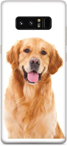 Vista 20 de Inspired Cases - Compatible con iPhone Xs Max - Funda protectora con textura 3D para Apple iPhone Xs Max - Golden Retriever