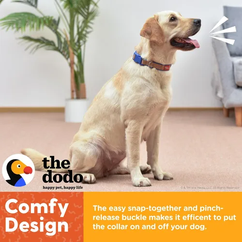 Vista 5 de The Dodo Collar de corcho para perro, rayas, talla pequeña; collar de material de corcho para perros, ropa diaria de mascotas; ajustable a presión
