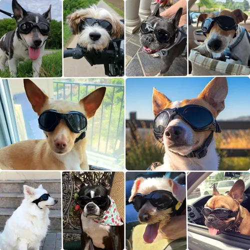 Vista 2 de Gafas de sol para perros de raza media, protección ocular para perros medianos, resistentes al viento, color negro