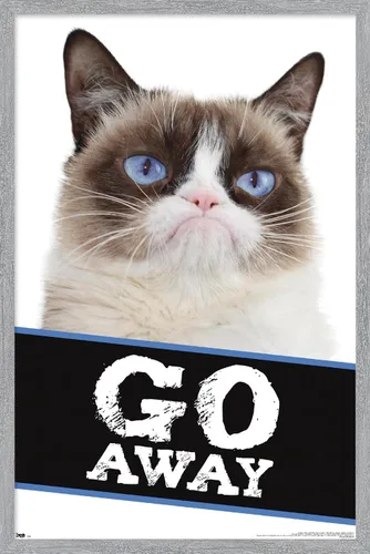 Vista 15 de Trends International Grumpy Cat - Póster de pared con texto en inglés «Go Away», 14.725 x 22.375 pulgadas, versión enmarcada de madera de granero