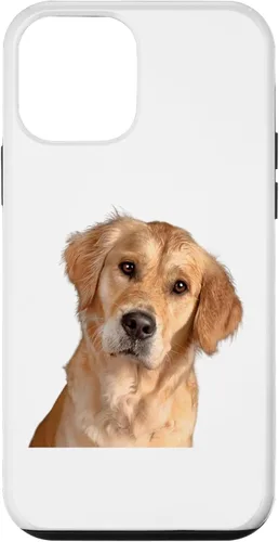 Vista 16 de American Golden Retriever Dog Sweet and Quizzical Case for iPhone 17